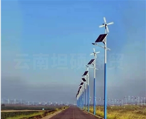 新農村風光互補路燈